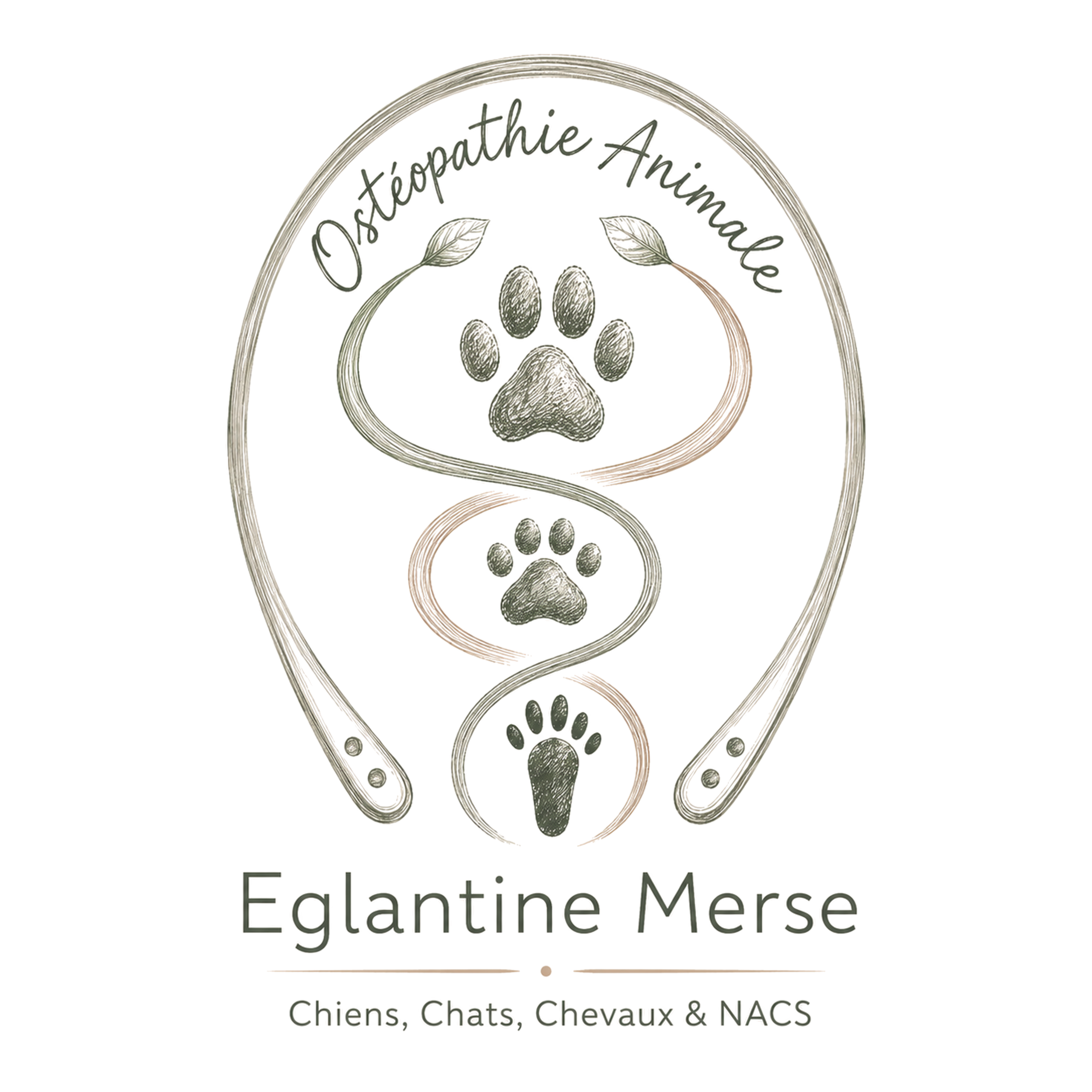 Églantine Merse ostéopathe animalier